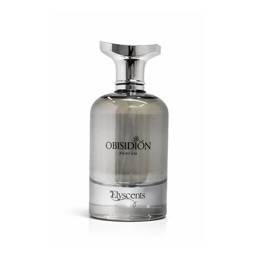 Elyscents Obisidion perfume in a smoky grey glass bottle with a silver cap, photographed on a white background